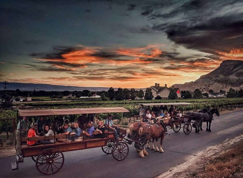 2 horse drawn carriages at sunset.jpg