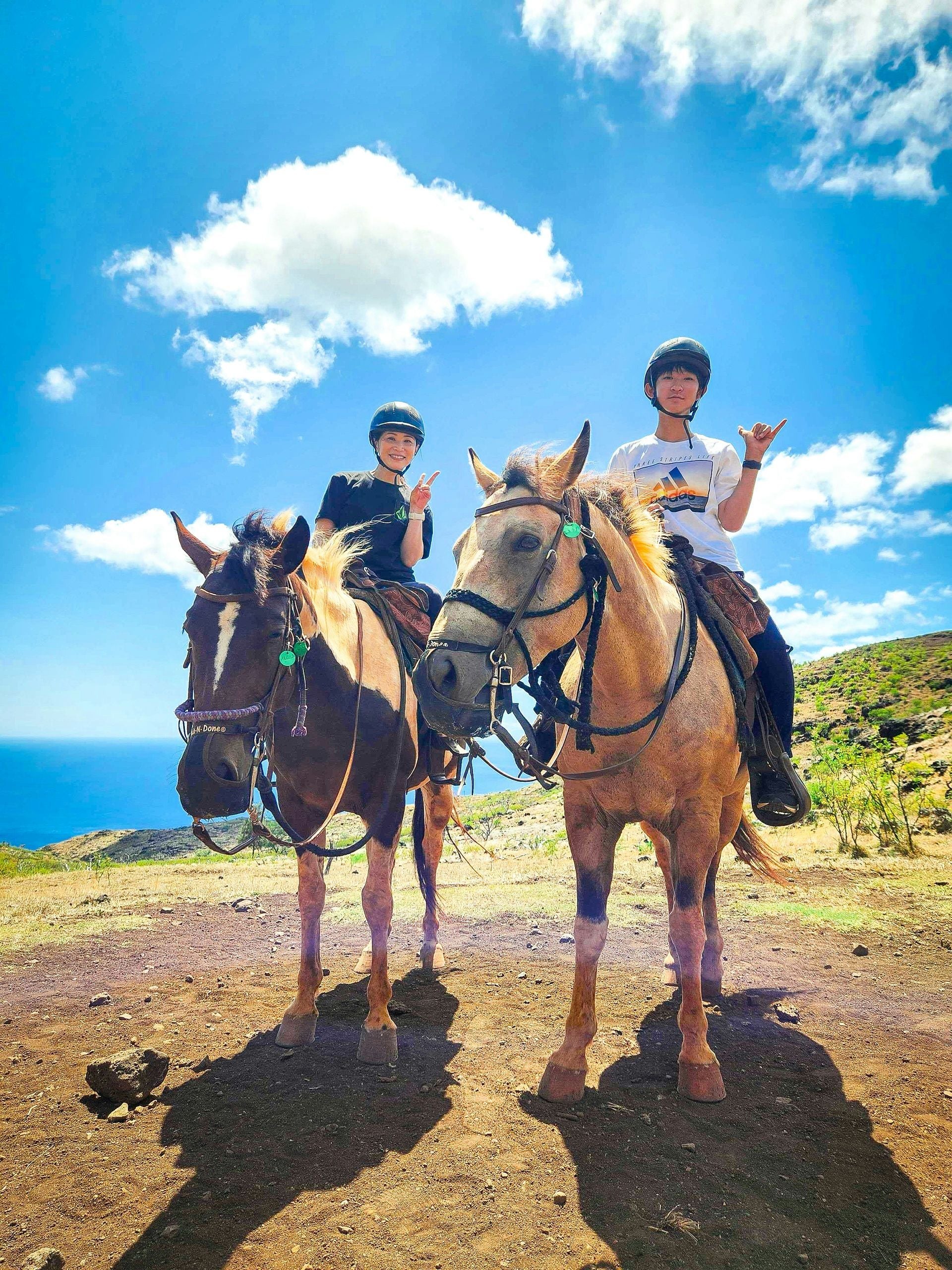 Oahu Sunshine Horseback Riding Tour Kapolei Hawaii Giftory