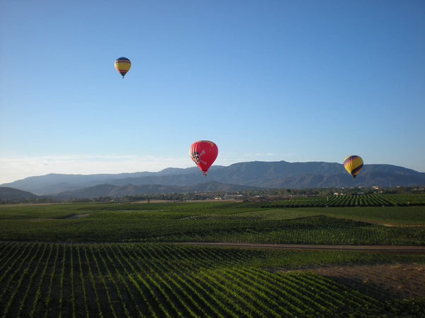 hot air balloon at sunrise