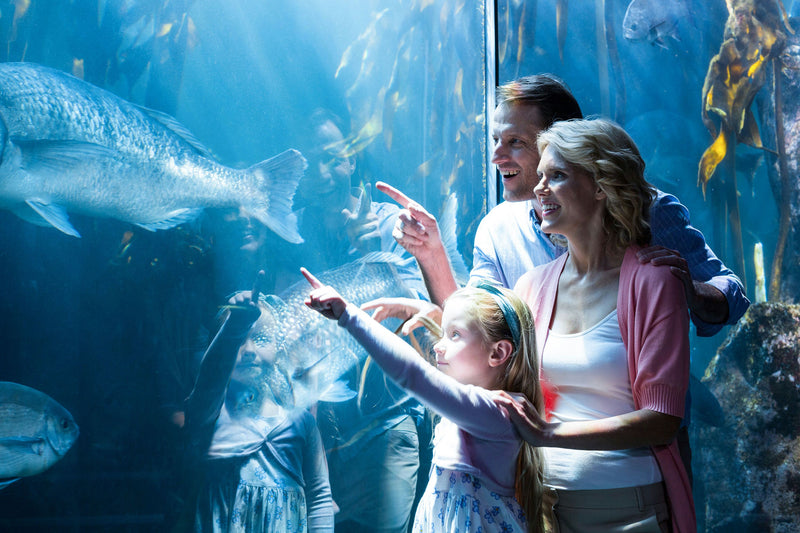 aquarium-fam-time