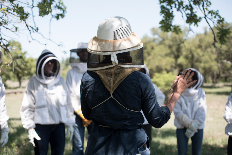 beekeeper-teaching