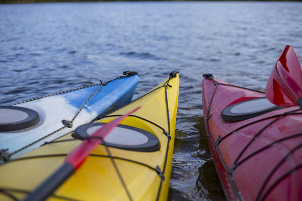 kayakers in marsh.jpeg