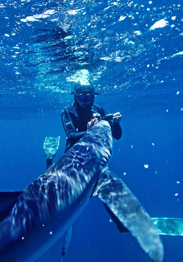 Blue and Mako Shark Offshore Expedition diving next to shark.jpg