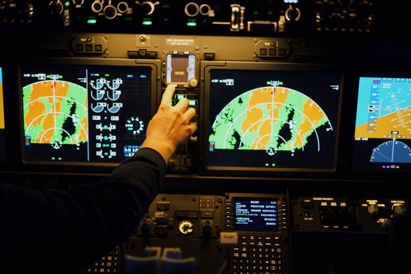 Boeing 737 Max Economy Flight Simulator view