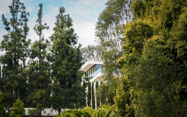 Warner Bros Studio Hollywood (6).png