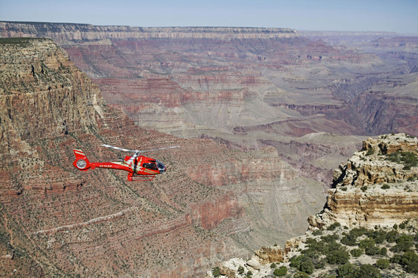 couple posed in grand canyon