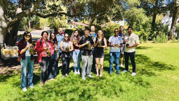 closed-terrarium-workshop