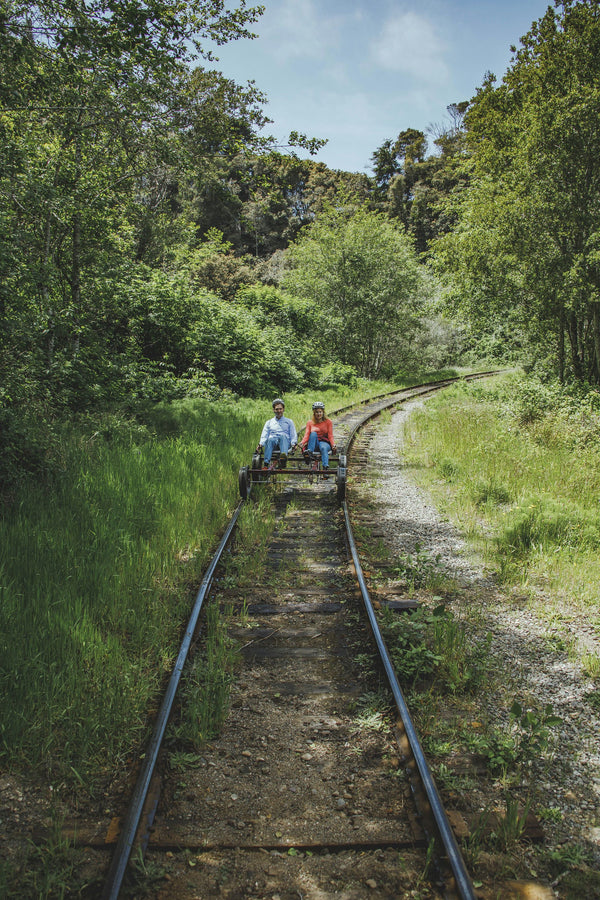 looking at views from railbikes