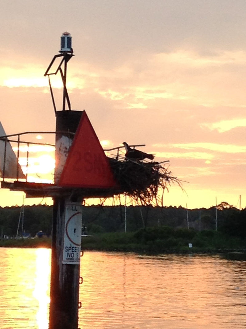 day-mark-chesapeake-boat-charter-st-michaels-eastern-shore-sail-selina-jpg