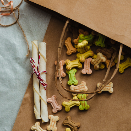 Dog eating from bowl at table.png