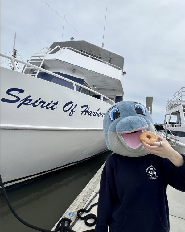 Donut & Dolphin.jpg