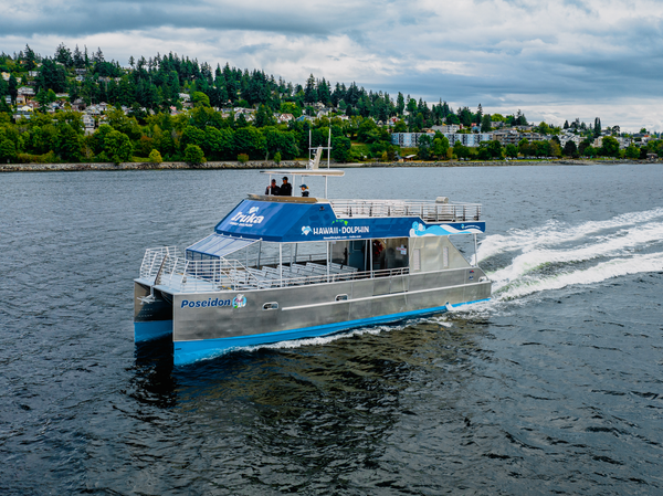 Dolphin SWIM & Reef Snorkel with Ocean Activities jumping off boat.jpeg