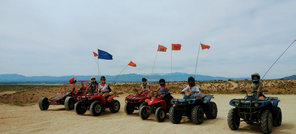 4 people riding ATVs in desert