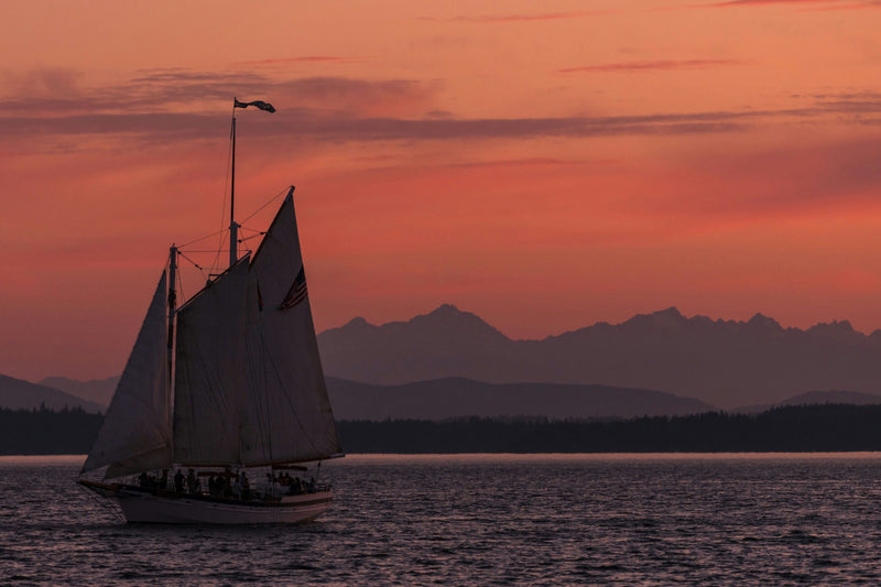 Evening Colors Sunset Sail orange sky.jpg