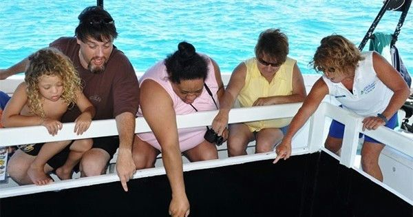 glass bottom boat.jpeg