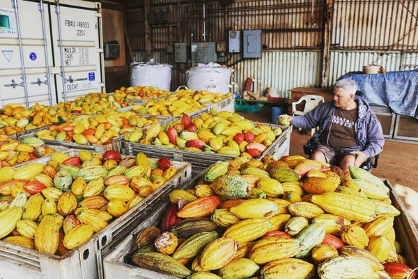 5 people with waterfall.jpg