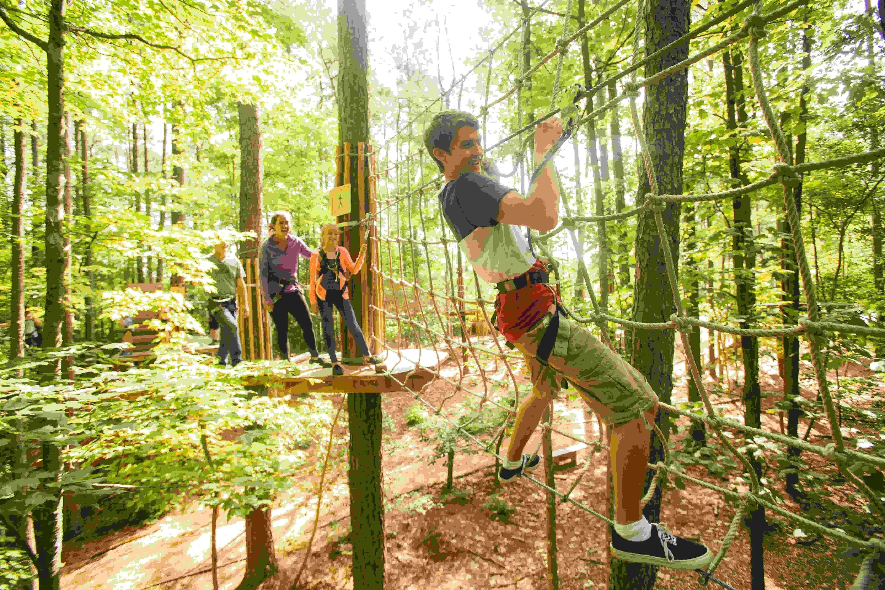 Memphis Zipline and Treetop Adventure with Go Ape | Memphis