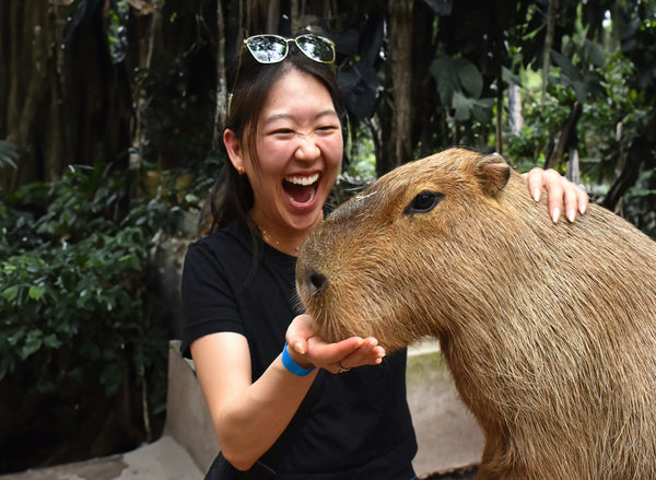 feeding capybara .jpg