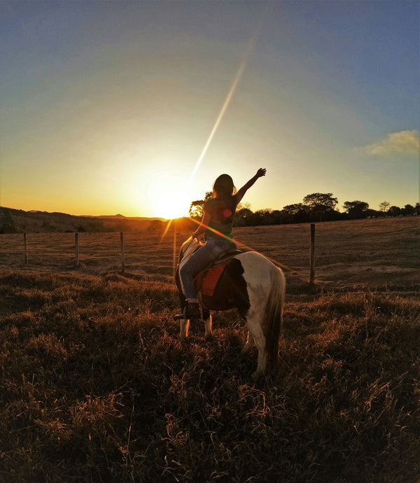 horseback riding trail sunset.jpg