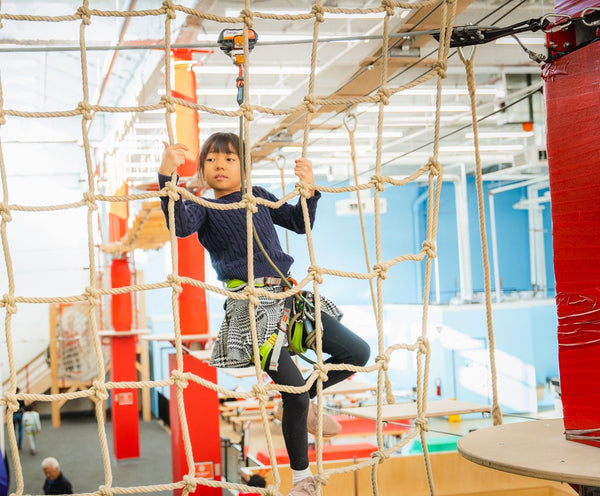 person on top of a climbing pole