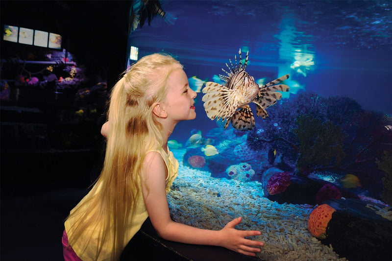 girl-with-fish-at-aquarium