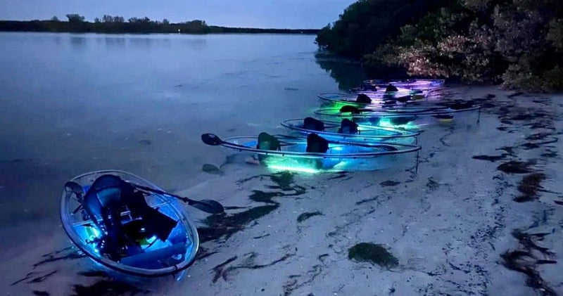 glowing-clear-kayaks-on-beach-jpeg
