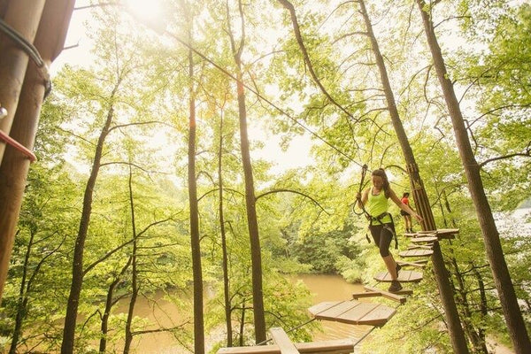 Go Ape - Treetop Adventure.jpeg