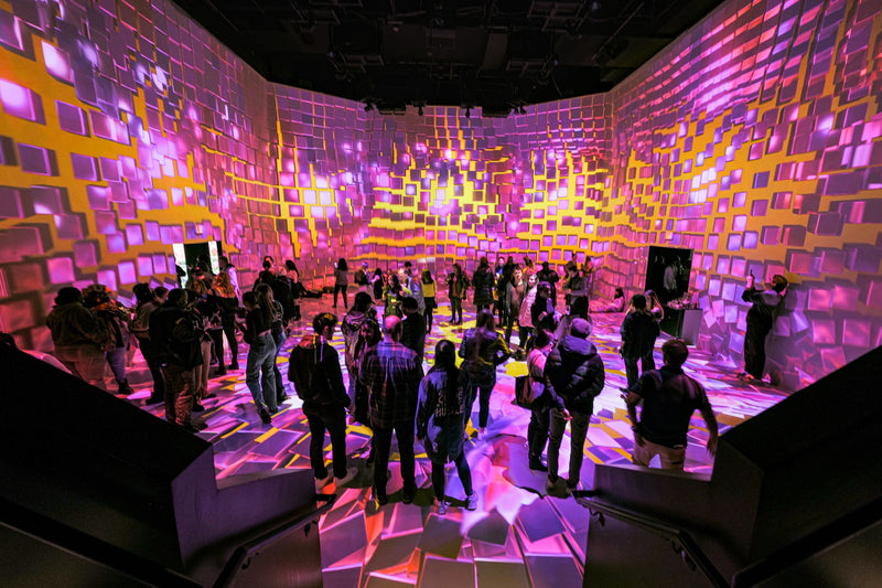 group-in-timeless-butterflies-exhibit