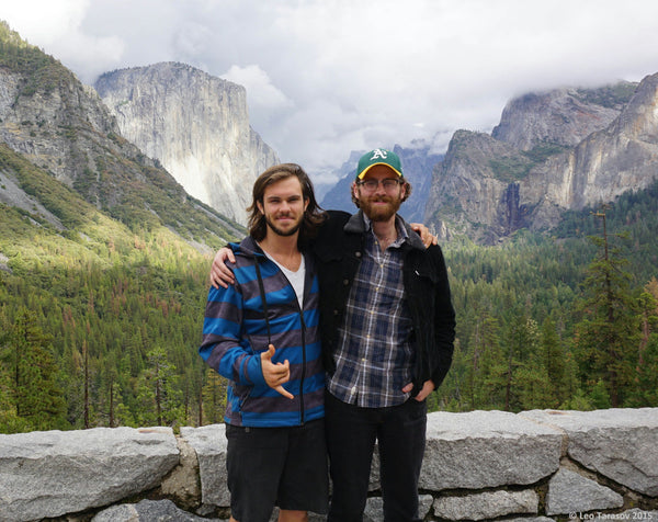 Tunnel Tree in Tuolumne Grove.jpg