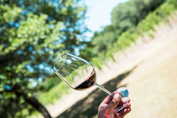 pouring red wine.jpg