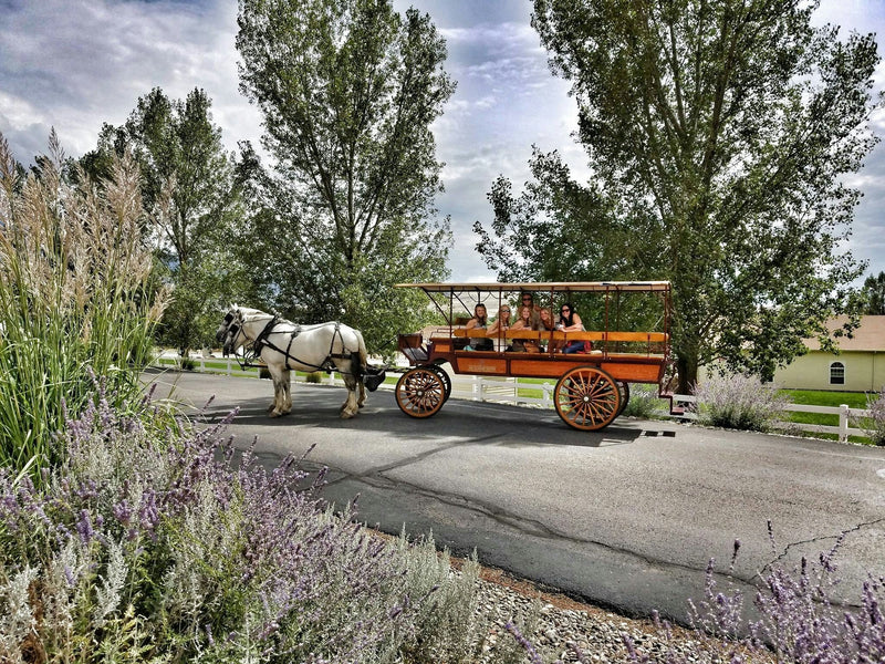 horse drawn  carriage with people.jpg