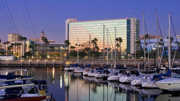 la lights 2 night.png