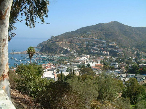 Tour Truck with group of people.jpg