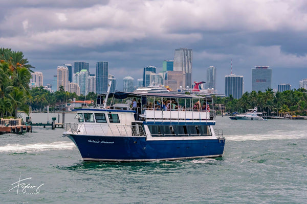 island princess boat