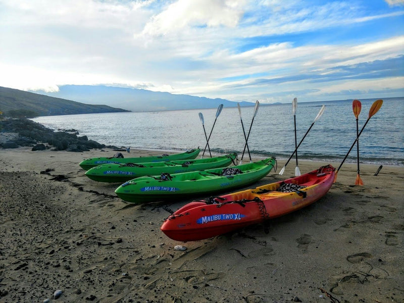 kayaks-on-beach
