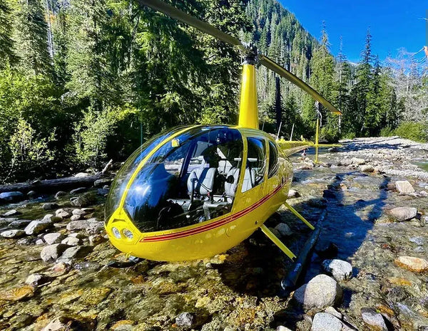 view in  helicopter
