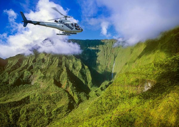 Mt-Wailaleale-Air-Kauai-large.jpg
