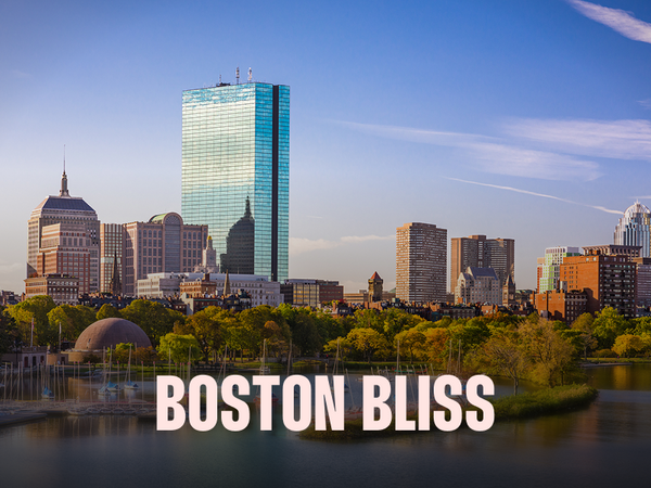 new boston bliss.png