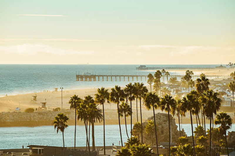 newport-beach-with-palm-trees
