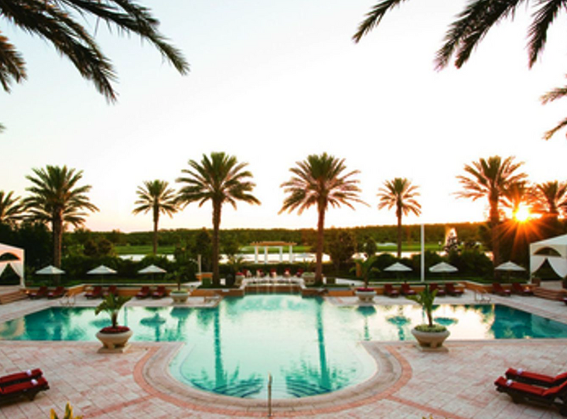 outdoor-pool-with-palm-trees