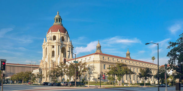 group selfie at picnic