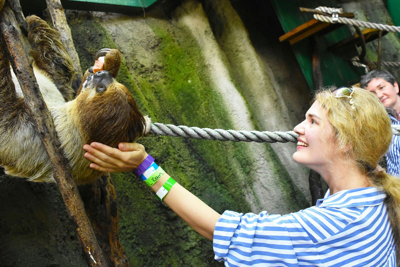 petting a sloth.jpg