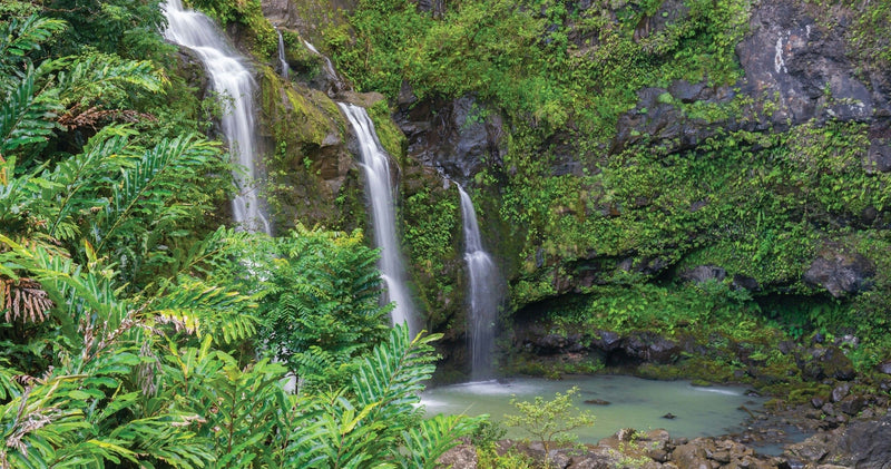 road-to-hana-adventure-tour-with-lunch-m2-jpeg