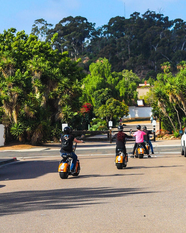 Scooter Tour