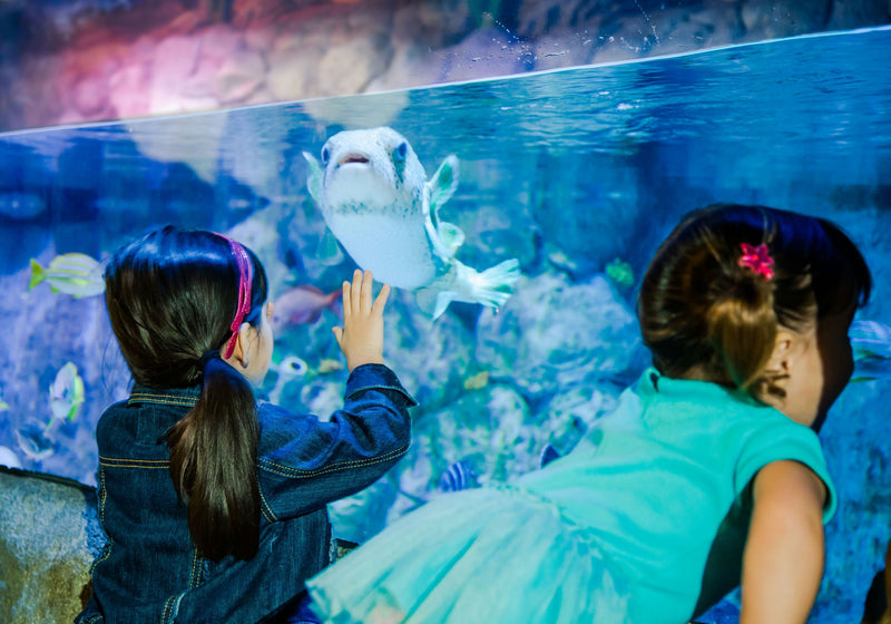 sealife-kids-jpg