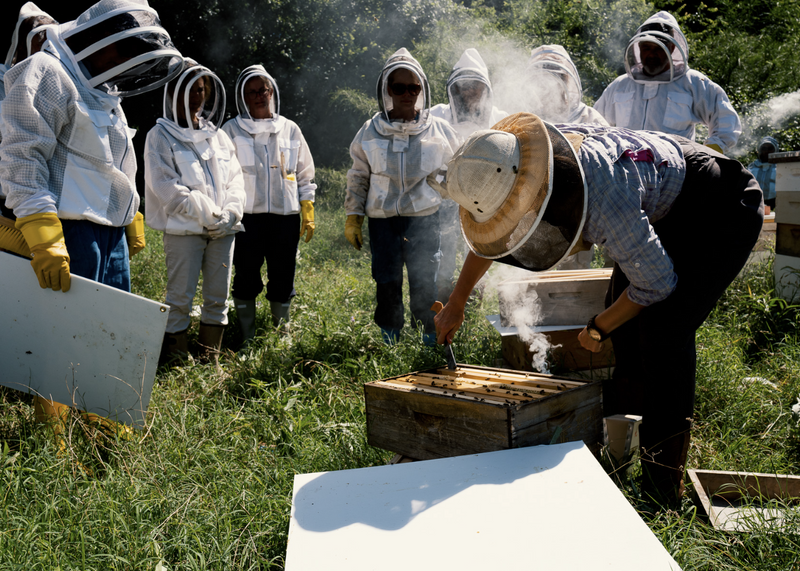 showing-beekeeping-technique