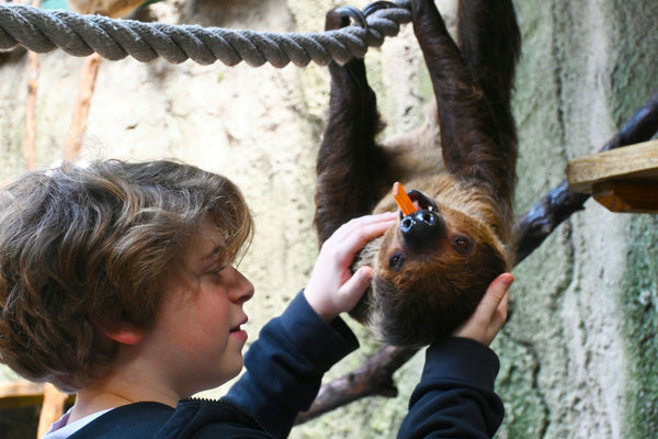 petting a sloth.jpg