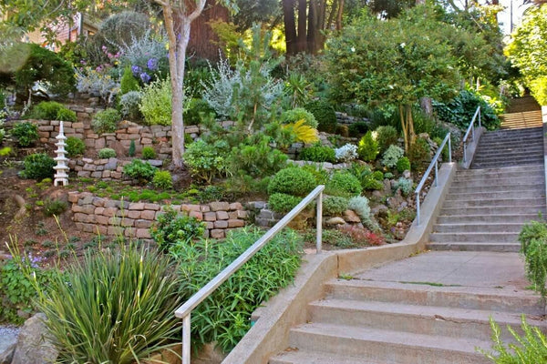 house with beautiful front garden