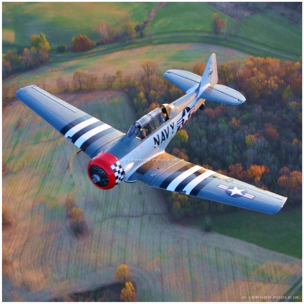 T6 Texan.JPG