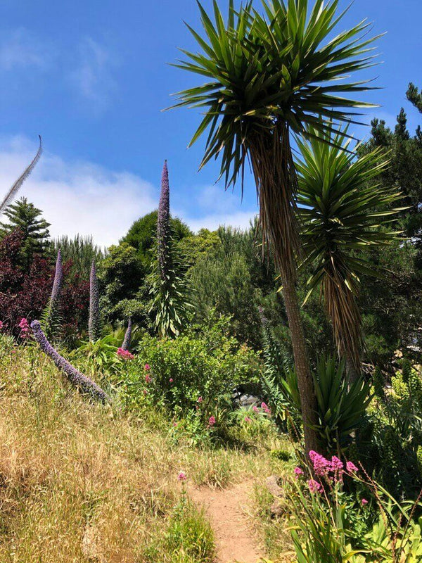 large victorian house